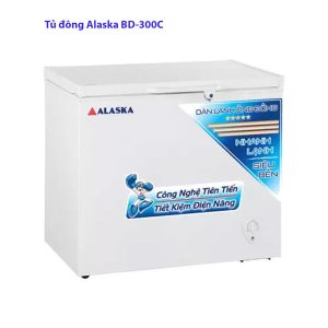 tu-dong-alaska-bd-300c-13